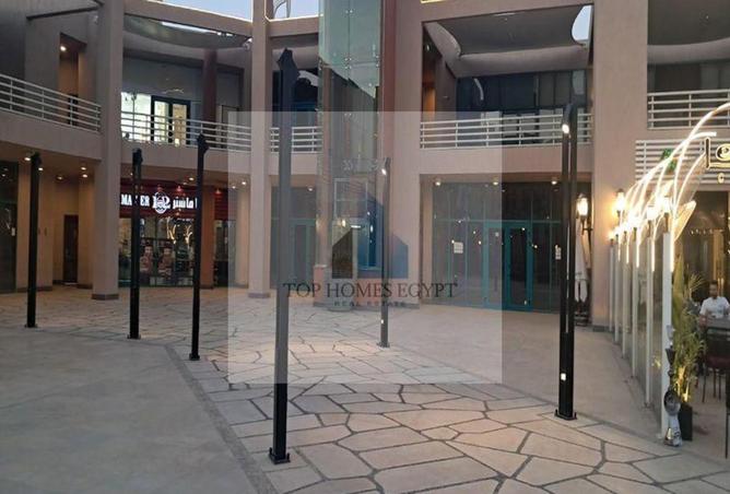 66177365 - Property Image 3