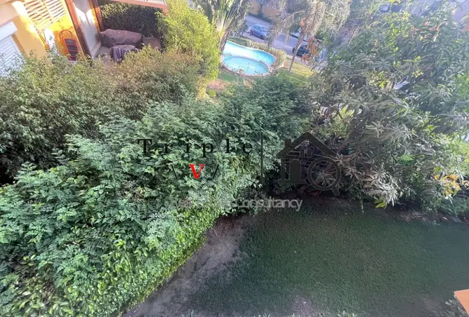 109917373 - Property Image 2