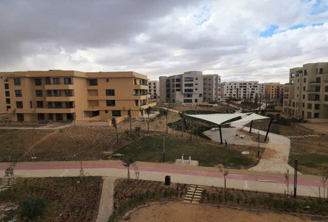 79994336 - Property Image 3
