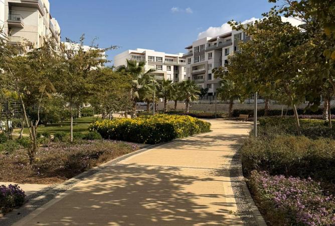 53973967 - صورة العقار 3