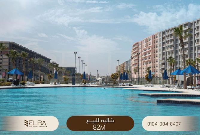 67479201 - Property Image 2