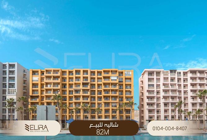 67479201 - Property Image 3