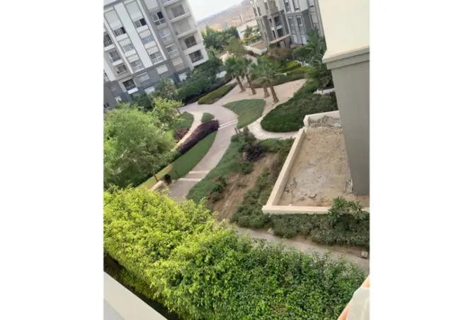 117001908 - صورة العقار 3