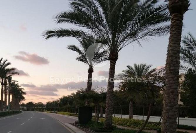 97713975 - صورة العقار 3