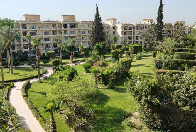 8473976 - صورة العقار 2