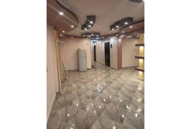 55254400 - صورة العقار 3