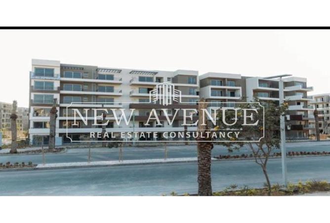 69564724 - Property Image 3