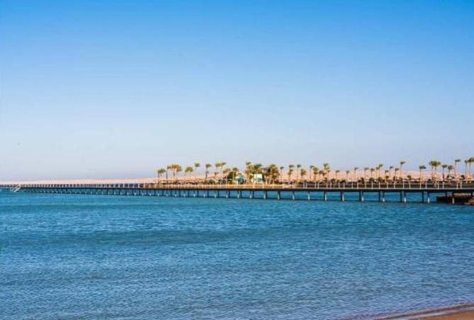 65662534 - Property Image 3