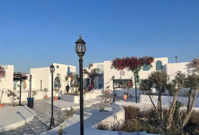 81305453 - صورة العقار 3