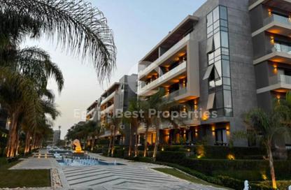 Apartment - 3 Bedrooms - 2 Bathrooms for sale in El Patio Oro - 5th Settlement Compounds - The 5th Settlement - New Cairo City - Cairo Apartment - 3 Bedrooms - 2 Bathrooms for sale in El Patio Oro - 5th Settlement Compounds - The 5th Settlement - New Cairo City - Cairo