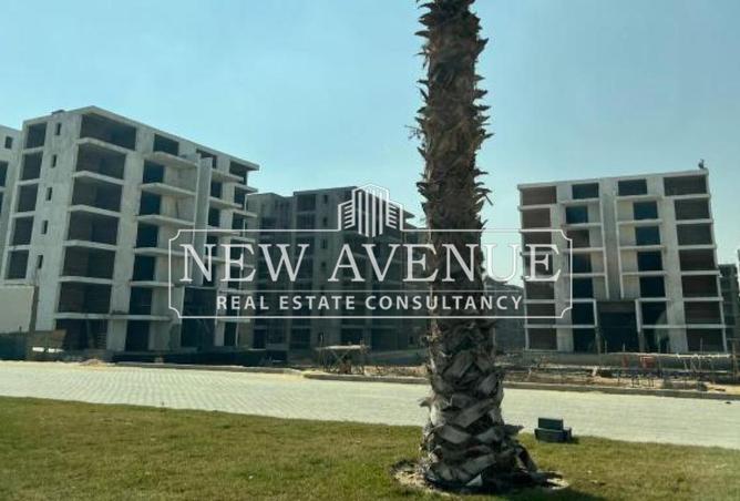 71914049 - Property Image 3
