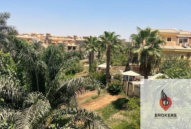 103184475 - صورة العقار 2