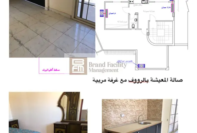 118537543 - Property Image 3