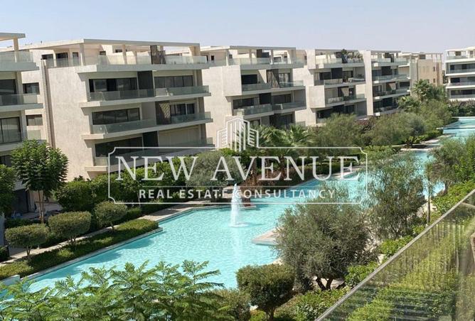 61203025 - Property Image 3