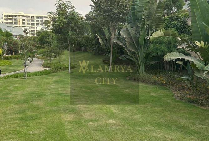 55993509 - صورة العقار 3