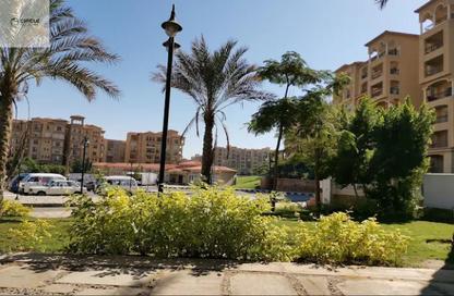 Apartment - 2 Bedrooms - 2 Bathrooms for rent in B12 - Madinaty - Cairo