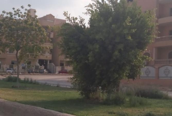 8523096 - Property Image 2