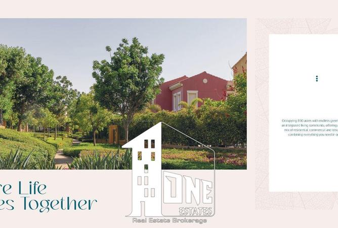 8631637 - Property Image 3