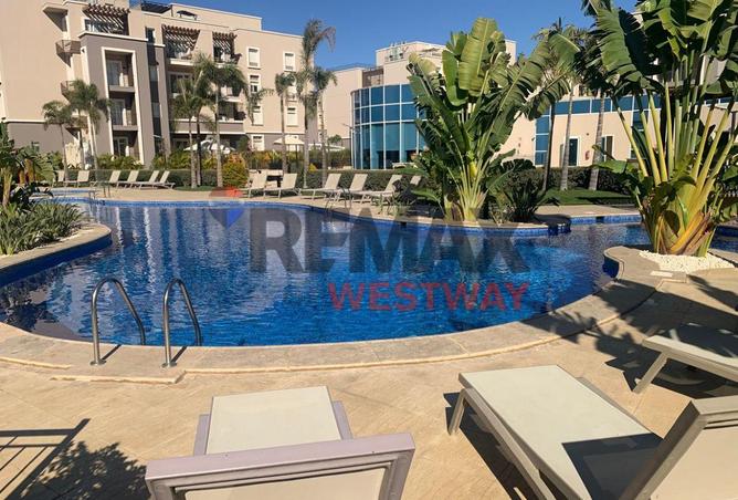 8616119 - Property Image 2