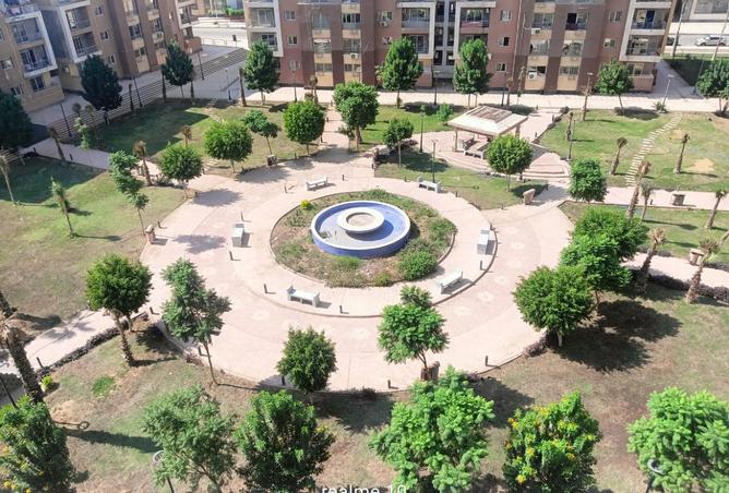 8517787 - Property Image 3