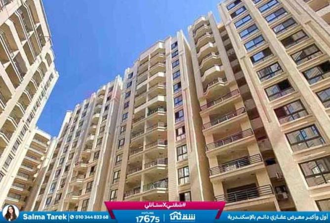 8630300 - Property Image 2