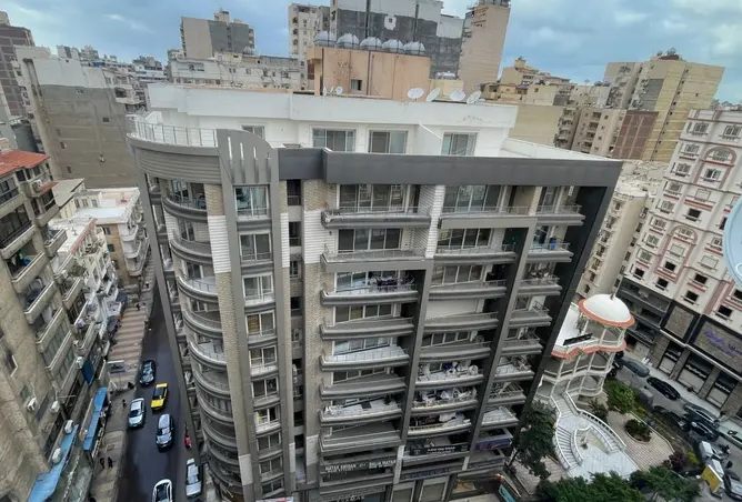 118805782 - Property Image 3