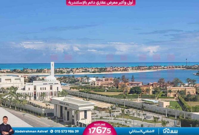 8429462 - صورة العقار 3