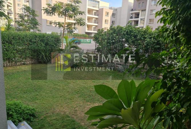 104596457 - Property Image 3