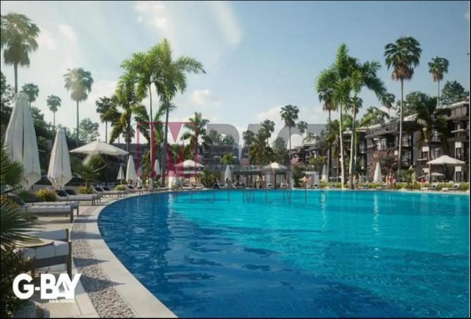 63143151 - صورة العقار 2