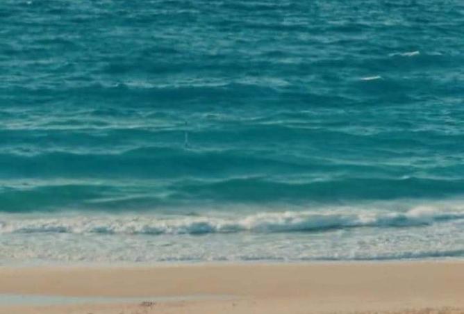 58999432 - Property Image 3