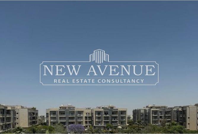 54498565 - Property Image 2