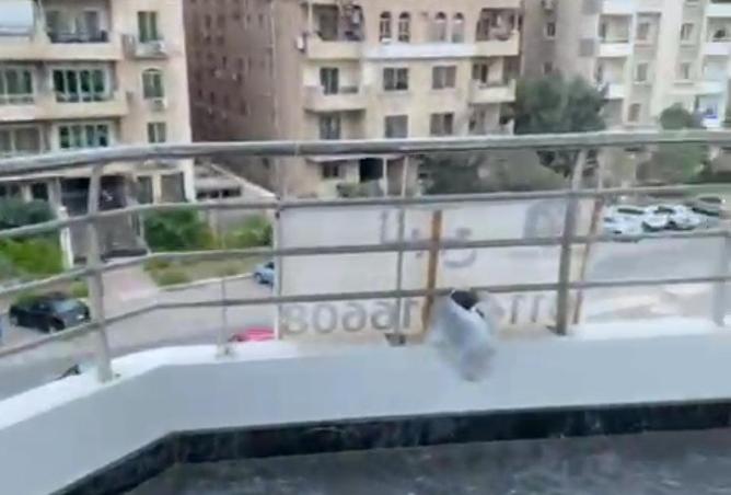 8610984 - Property Image 2