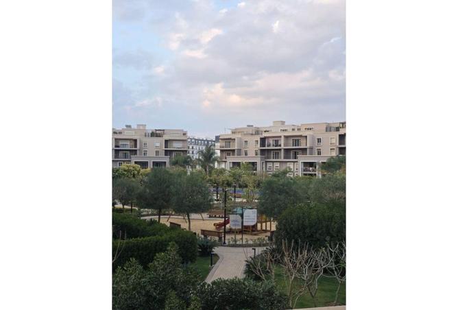 65151252 - صورة العقار 2