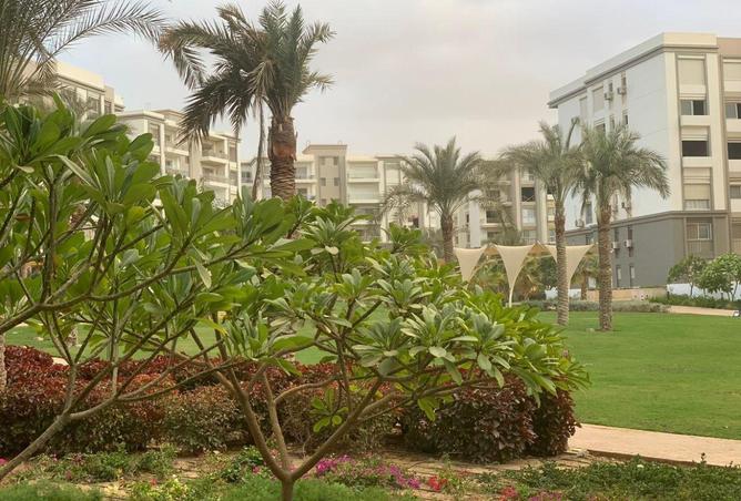 66966727 - صورة العقار 3