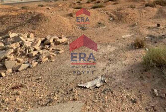 8613439 - Property Image 2