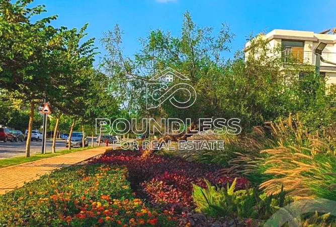 120885835 - Property Image 3