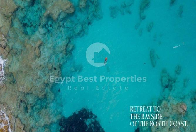 80271105 - Property Image 3