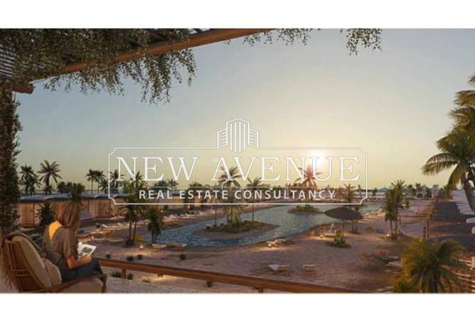 64906605 - Property Image 3