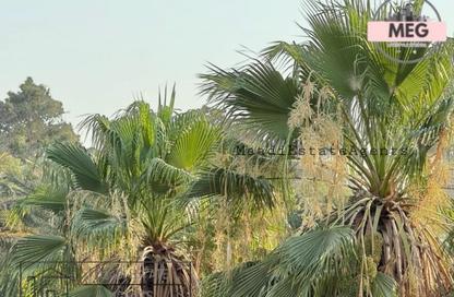 Apartment - 3 Bedrooms - 2 Bathrooms for rent in Street 14 - Maadi - Hay El Maadi - Cairo