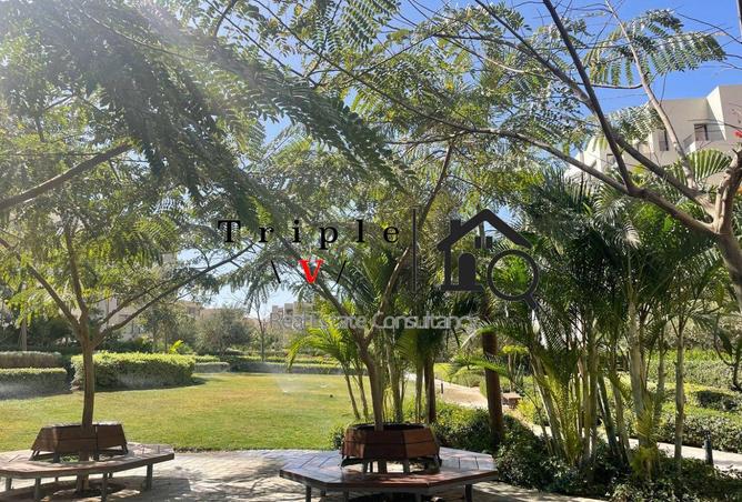 62169442 - Property Image 2