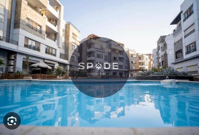 63132745 - Property Image 2