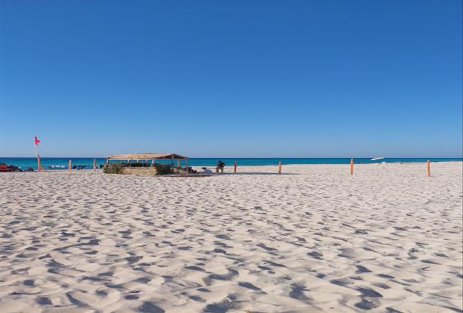 70354953 - الصورة الرئيسية للعقار