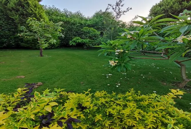 118298482 - صورة العقار 2