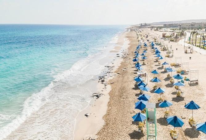 70366752 - Property Image 3