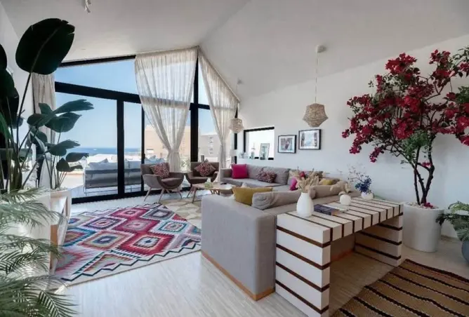 116491579 - Property Image 2