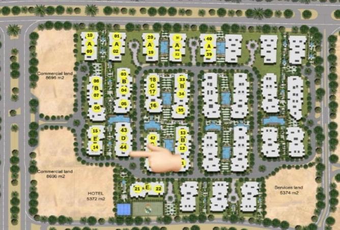 57234810 - Property Image 3