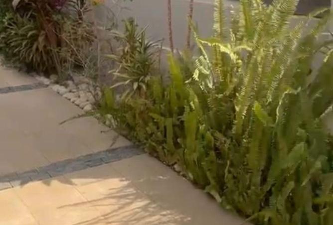 63389966 - Property Image 2