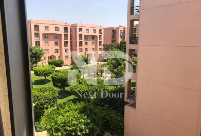 52455415 - صورة العقار 3