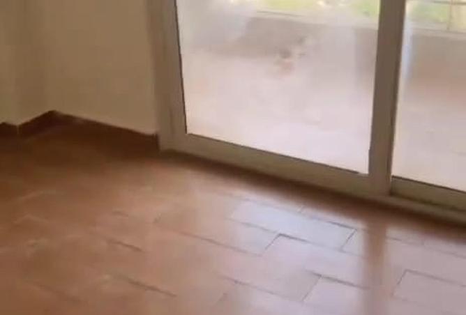 8567234 - صورة العقار 2