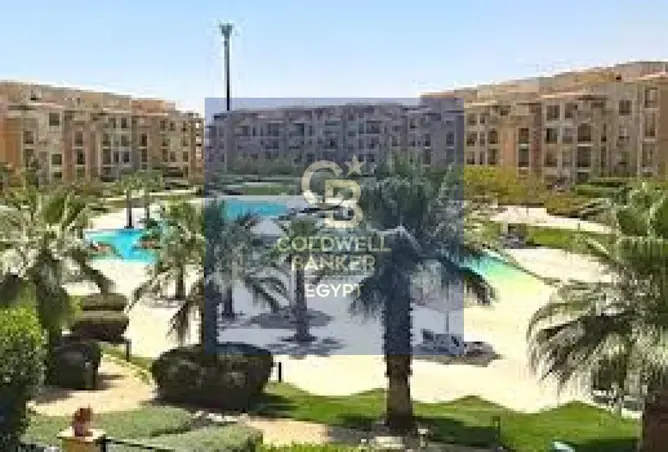 116490866 - Property Image 3